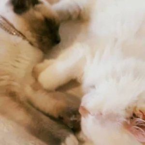 Meet your Posher, Dawn marie